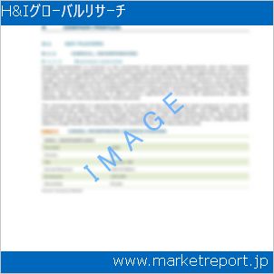 市場と産業調査レポートのイメージ